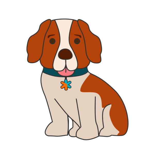 Meet Carrie: iCare’s Loyal St. Bernard Mascot