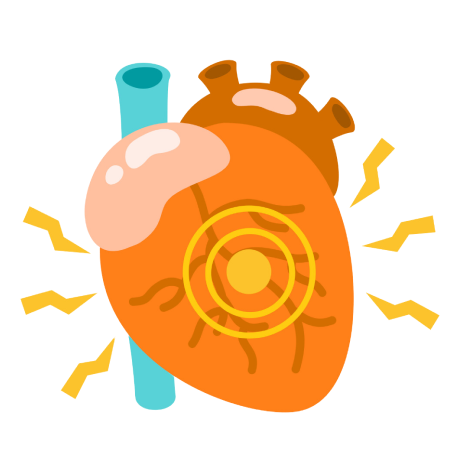 cardiovascular icon